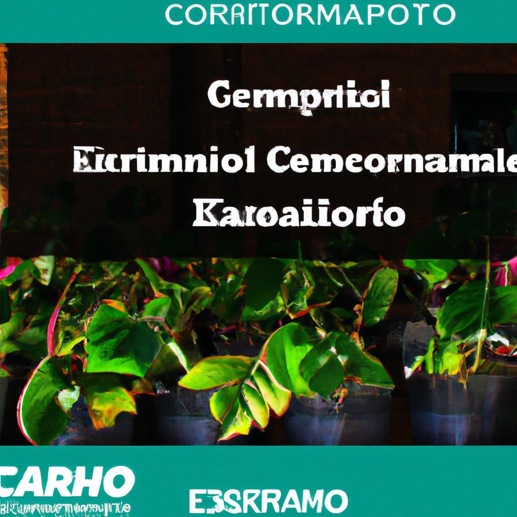 Como Certificar Plantas para Exportação