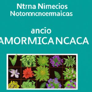 Plantas Aromáticas: Nicho Lucrativo do Agronegócio
