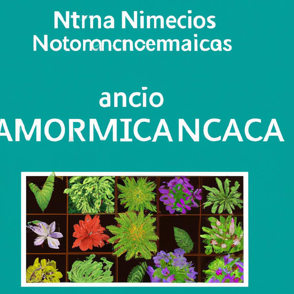 Plantas Aromáticas: Nicho Lucrativo do Agronegócio