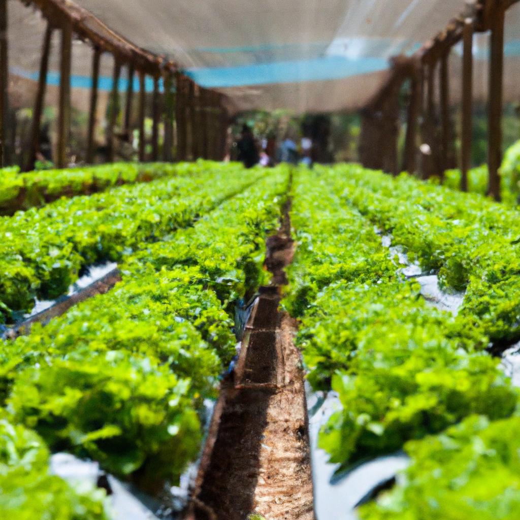 Características Essenciais para Certificação de Plantas